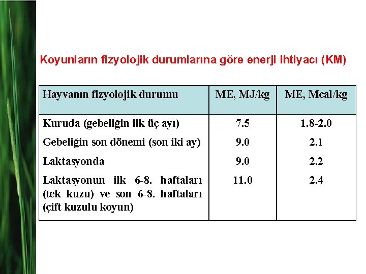 Koyunların fizyolojik durumlarına göre enerji ihtiyacı (KM) Hayvanın fizyolojik durumu ME, MJ/kg ME, Mcal/kg