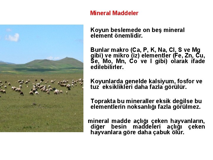 Mineral Maddeler Koyun beslemede on beş mineral element önemlidir. Bunlar makro (Ca, P, K,