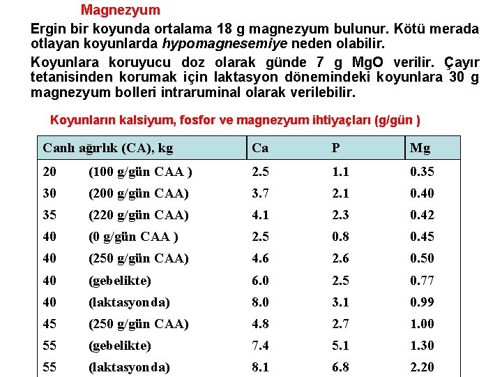 Magnezyum Ergin bir koyunda ortalama 18 g magnezyum bulunur. Kötü merada otlayan koyunlarda hypomagnesemiye