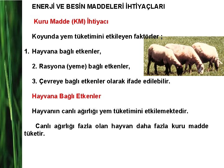 ENERJİ VE BESİN MADDELERİ İHTİYAÇLARI Kuru Madde (KM) İhtiyacı Koyunda yem tüketimini etkileyen faktörler