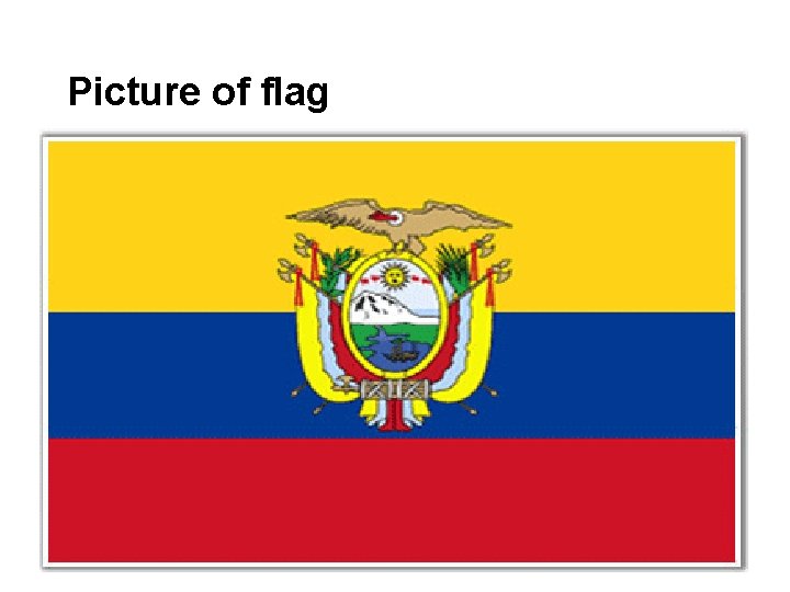 Picture of flag 