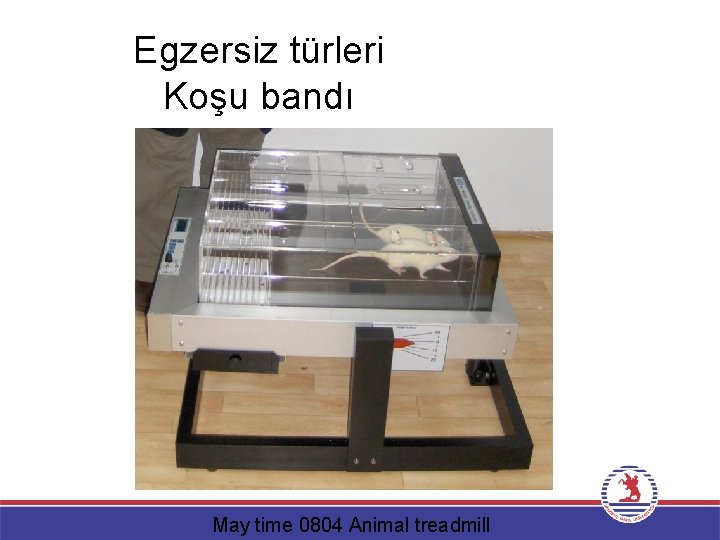 Egzersiz türleri Koşu bandı May time 0804 Animal treadmill 