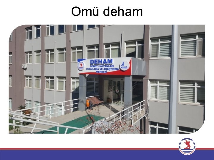 Omü deham 