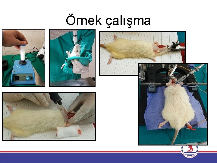 Örnek çalışma 