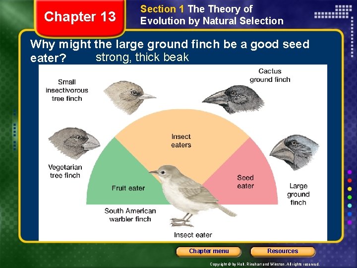 Chapter 13 Section 1 Theory of Evolution by Natural Selection Why might the large