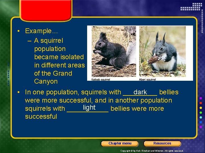  • Example… – A squirrel population became isolated in different areas of the