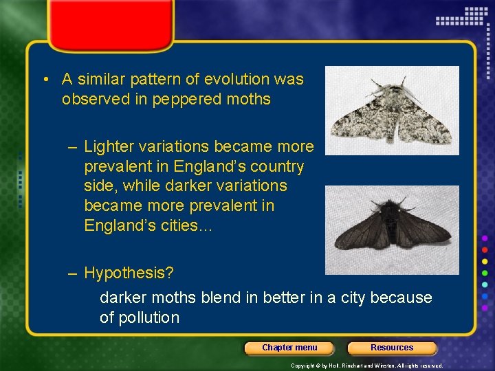  • A similar pattern of evolution was observed in peppered moths – Lighter