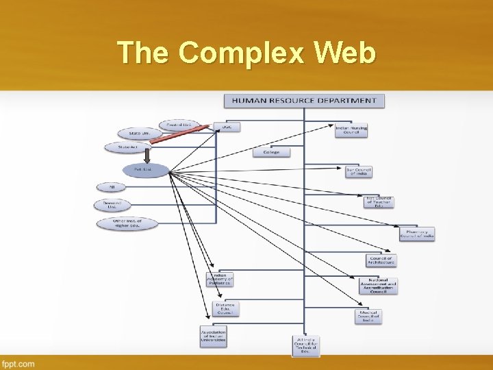 The Complex Web 