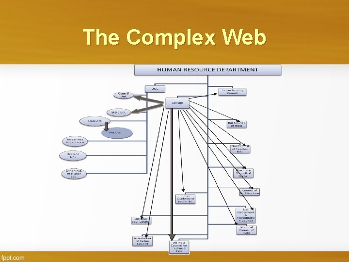 The Complex Web 