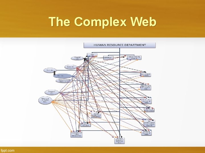 The Complex Web 