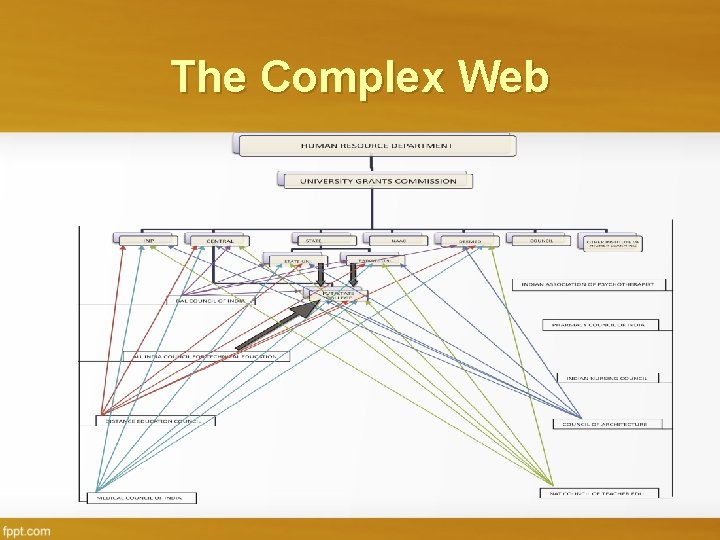 The Complex Web 