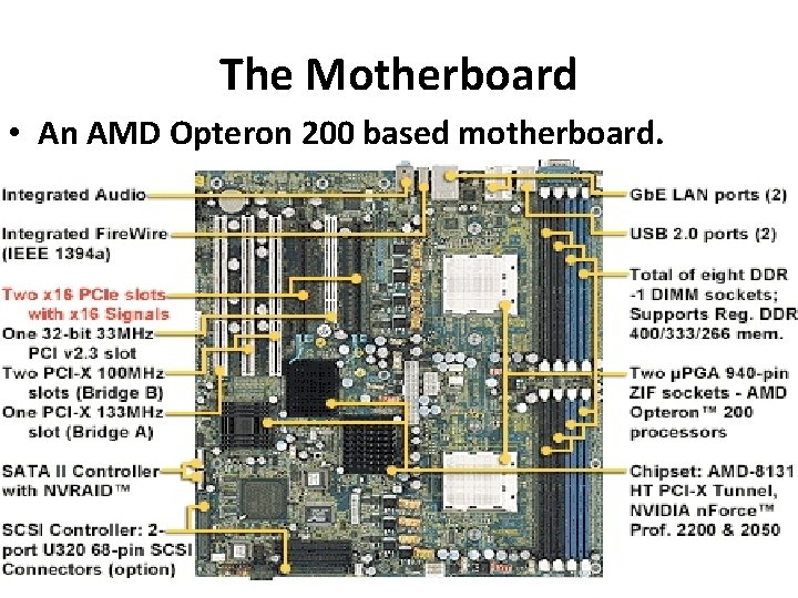 The Motherboard • An AMD Opteron 200 based motherboard. 