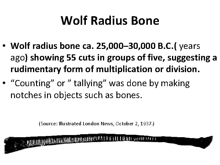Wolf Radius Bone • Wolf radius bone ca. 25, 000– 30, 000 B. C.