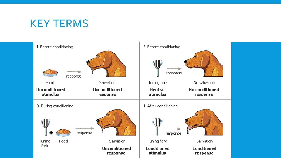 KEY TERMS 