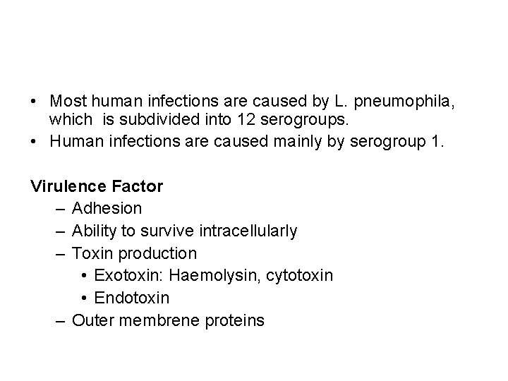  • Most human infections are caused by L. pneumophila, which is subdivided into