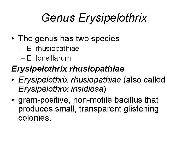 Genus Erysipelothrix • The genus has two species – E. rhusiopathiae – E. tonsillarum