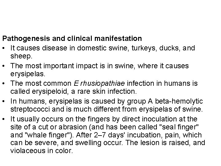 Pathogenesis and clinical manifestation • It causes disease in domestic swine, turkeys, ducks, and