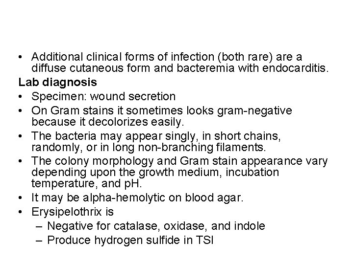  • Additional clinical forms of infection (both rare) are a diffuse cutaneous form