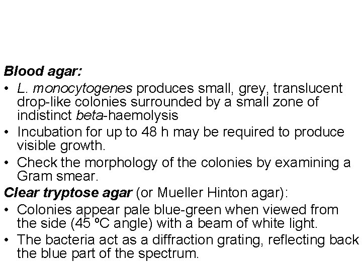 Blood agar: • L. monocytogenes produces small, grey, translucent drop-like colonies surrounded by a