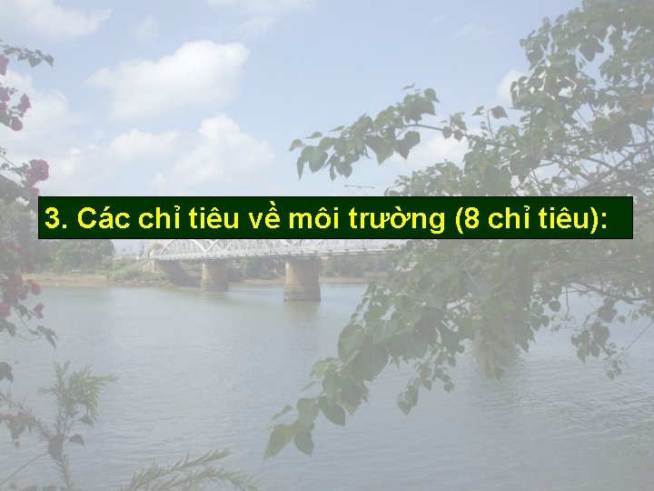 3. Các chỉ tiêu về môi trường (8 chỉ tiêu): 