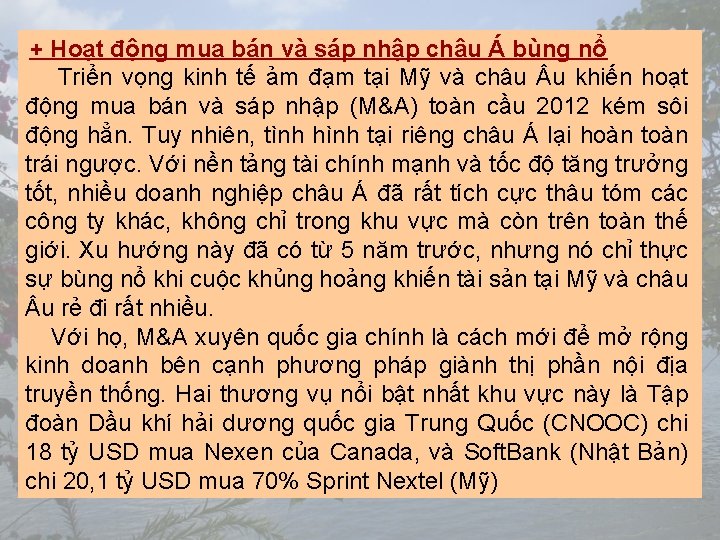 + Hoạt động mua bán và sáp nhập châu Á bùng nổ Triển vọng