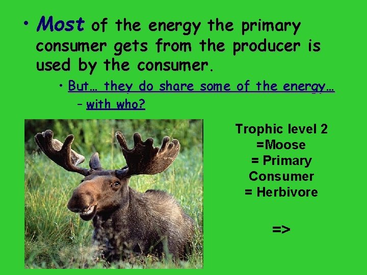  • Most of the energy the primary consumer gets from the producer is