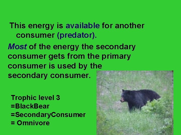 This energy is available for another consumer (predator). Most of the energy the secondary