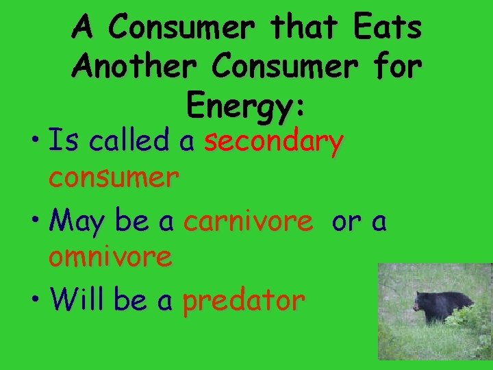 A Consumer that Eats Another Consumer for Energy: • Is called a secondary consumer