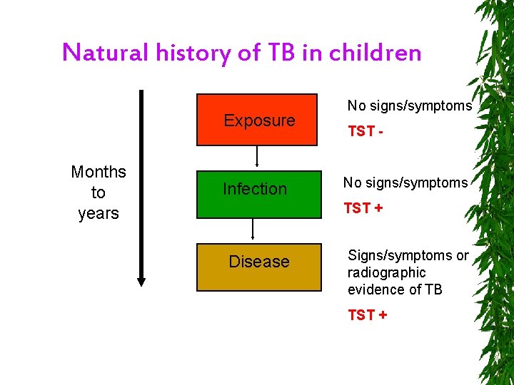 Natural history of TB in children Exposure Months to years Infection No signs/symptoms TST