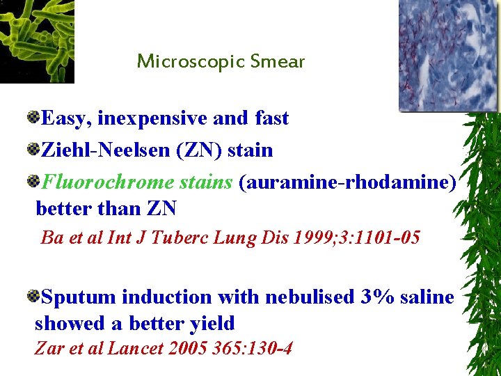 Microscopic Smear Easy, inexpensive and fast Ziehl-Neelsen (ZN) stain Fluorochrome stains (auramine-rhodamine) better than