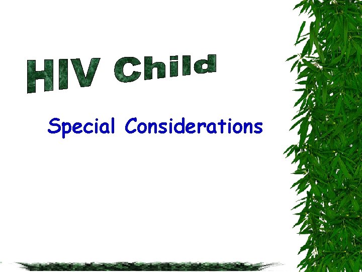 Special Considerations 