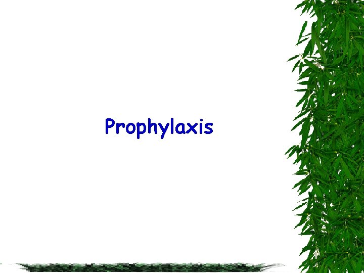 Prophylaxis 