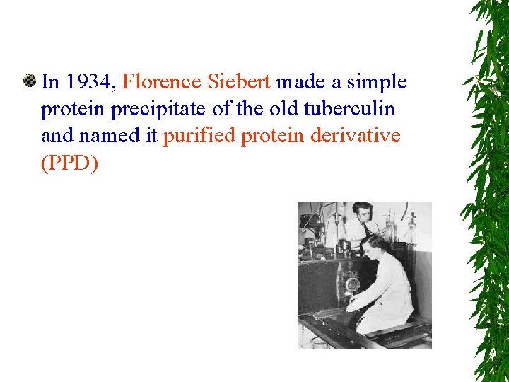 In 1934, Florence Siebert made a simple protein precipitate of the old tuberculin and