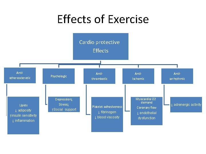 Effects of Exercise Cardio protective Effects Antiatherosclerotic Lipids ↓ adiposity ↑insulin sensitivity ↓ inflammation