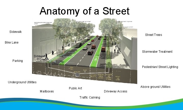 Anatomy of a Street Sidewalk Street Trees Bike Lane Stormwater Treatment Parking Sidewalk Pedestrian/