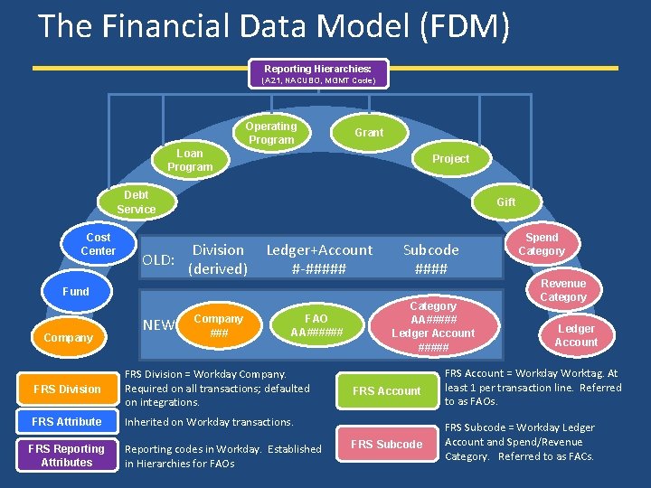 The Financial Data Model (FDM) Reporting Hierarchies: (A 21, NACUBO, MGMT Code) Operating Program