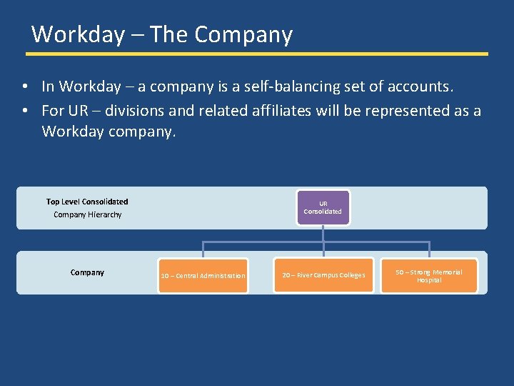 Workday – The Company • In Workday – a company is a self-balancing set