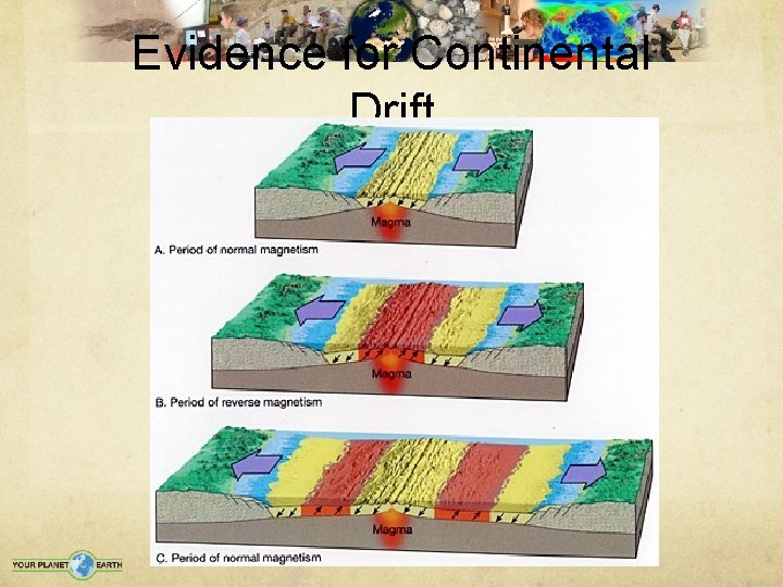 Evidence for Continental Drift 