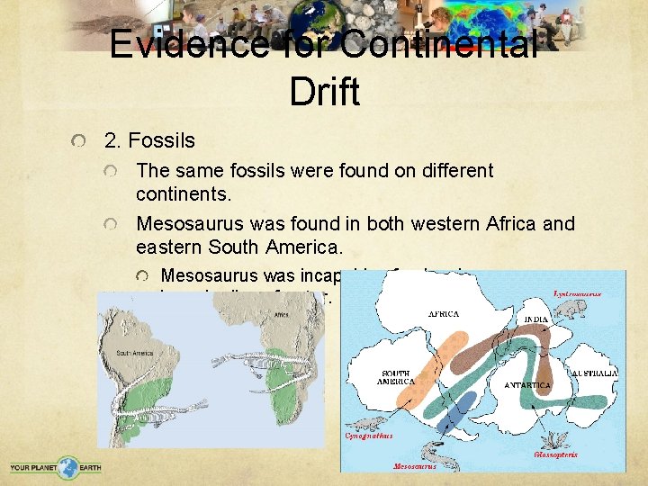 Evidence for Continental Drift 2. Fossils The same fossils were found on different continents.