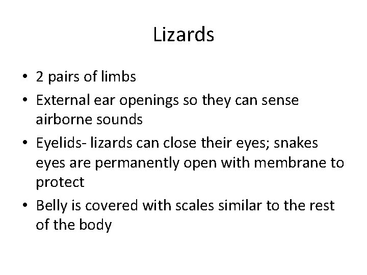 Lizards • 2 pairs of limbs • External ear openings so they can sense