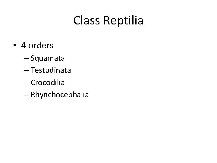 Class Reptilia • 4 orders – Squamata – Testudinata – Crocodilia – Rhynchocephalia 