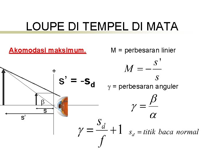 LOUPE DI TEMPEL DI MATA Akomodasi maksimum. + s’ s s’ = -sd M