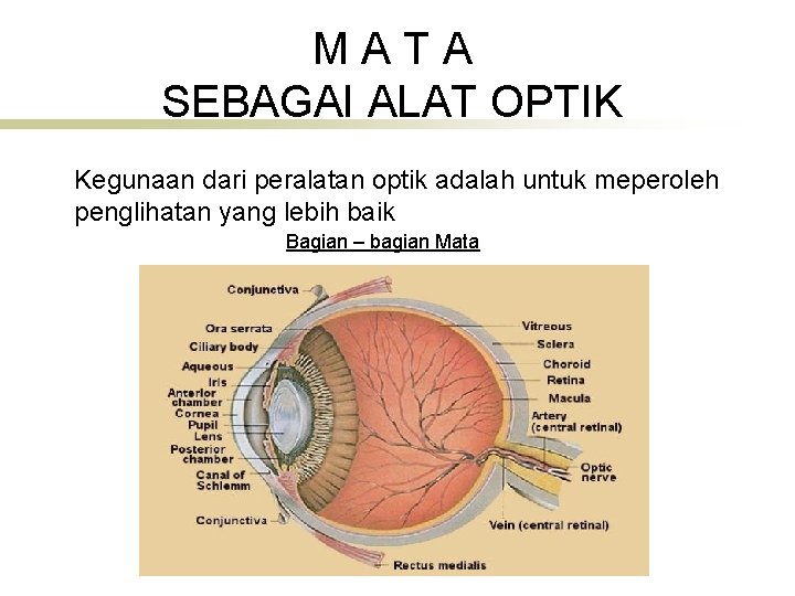 MATA SEBAGAI ALAT OPTIK Kegunaan dari peralatan optik adalah untuk meperoleh penglihatan yang lebih