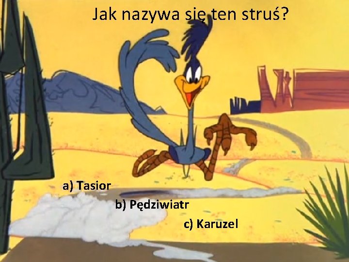 Jak nazywa się ten struś? a) Tasior b) Pędziwiatr c) Karuzel 