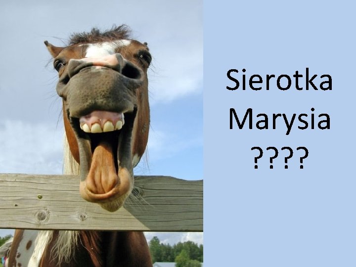 Sierotka Marysia ? ? 