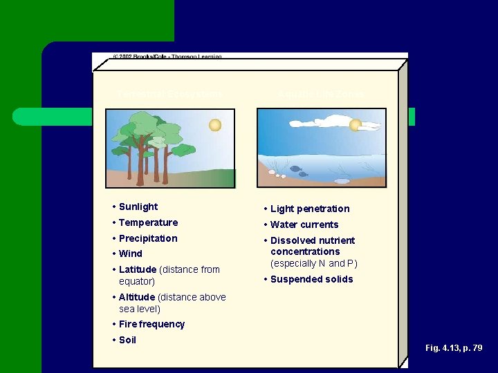 Terrestrial Ecosystems Aquatic Life Zones • Sunlight • Light penetration • Temperature • Water