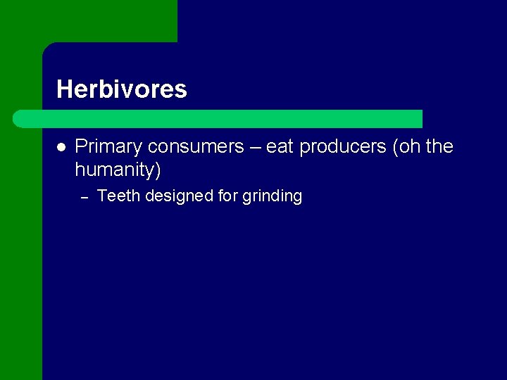 Herbivores l Primary consumers – eat producers (oh the humanity) – Teeth designed for