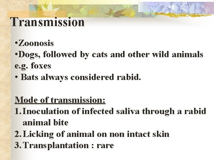 Transmission • Zoonosis • Dogs, followed by cats and other wild animals e. g.