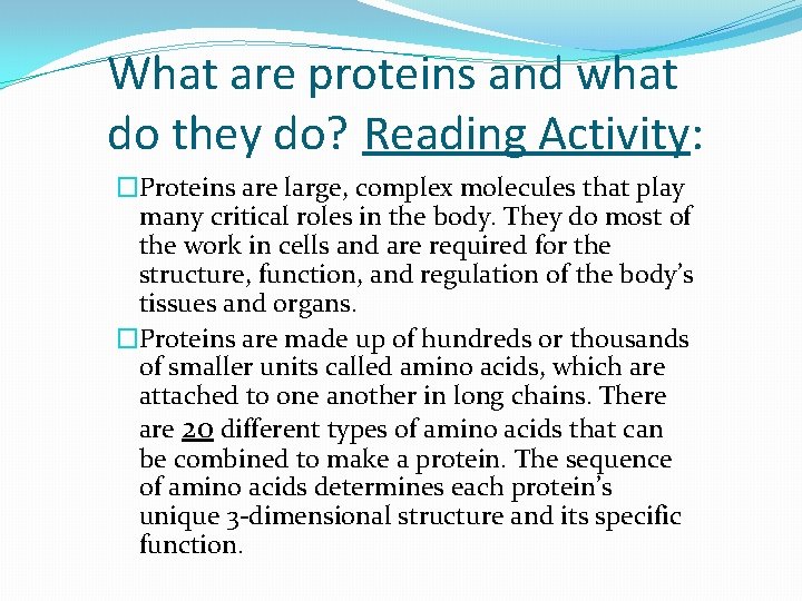 What are proteins and what do they do? Reading Activity: �Proteins are large, complex