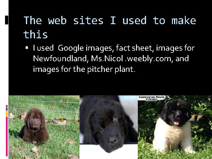 The web sites I used to make this I used Google images, fact sheet,